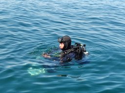 immersioni-estate22 22